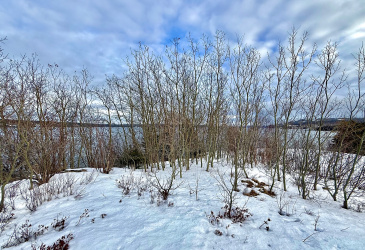 117 MARINE DRIVE, CLARENVILLE, Newfoundland, Canada A5A 1M6, ,0,Residential,For Sale,MARINE DRIVE,6104