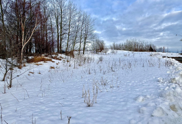 117 MARINE DRIVE, CLARENVILLE, Newfoundland, Canada A5A 1M6, ,0,Residential,For Sale,MARINE DRIVE,6104