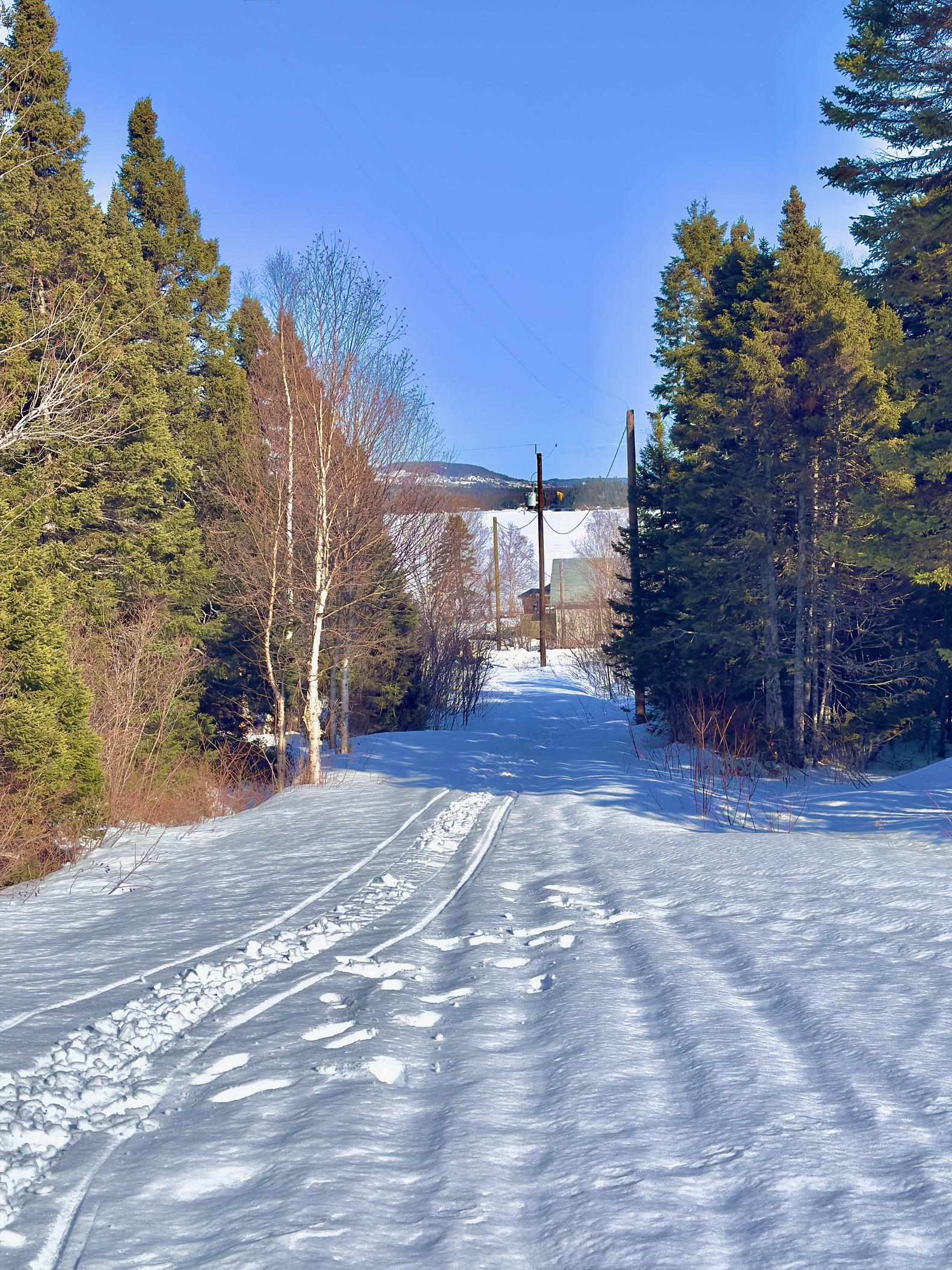 5 THORBURN LAKE ROAD, THORBURN LAKE, Newfoundland, Canada A0C 2G0, ,0,Residential,Sale Pending,THORBURN LAKE ROAD,6109