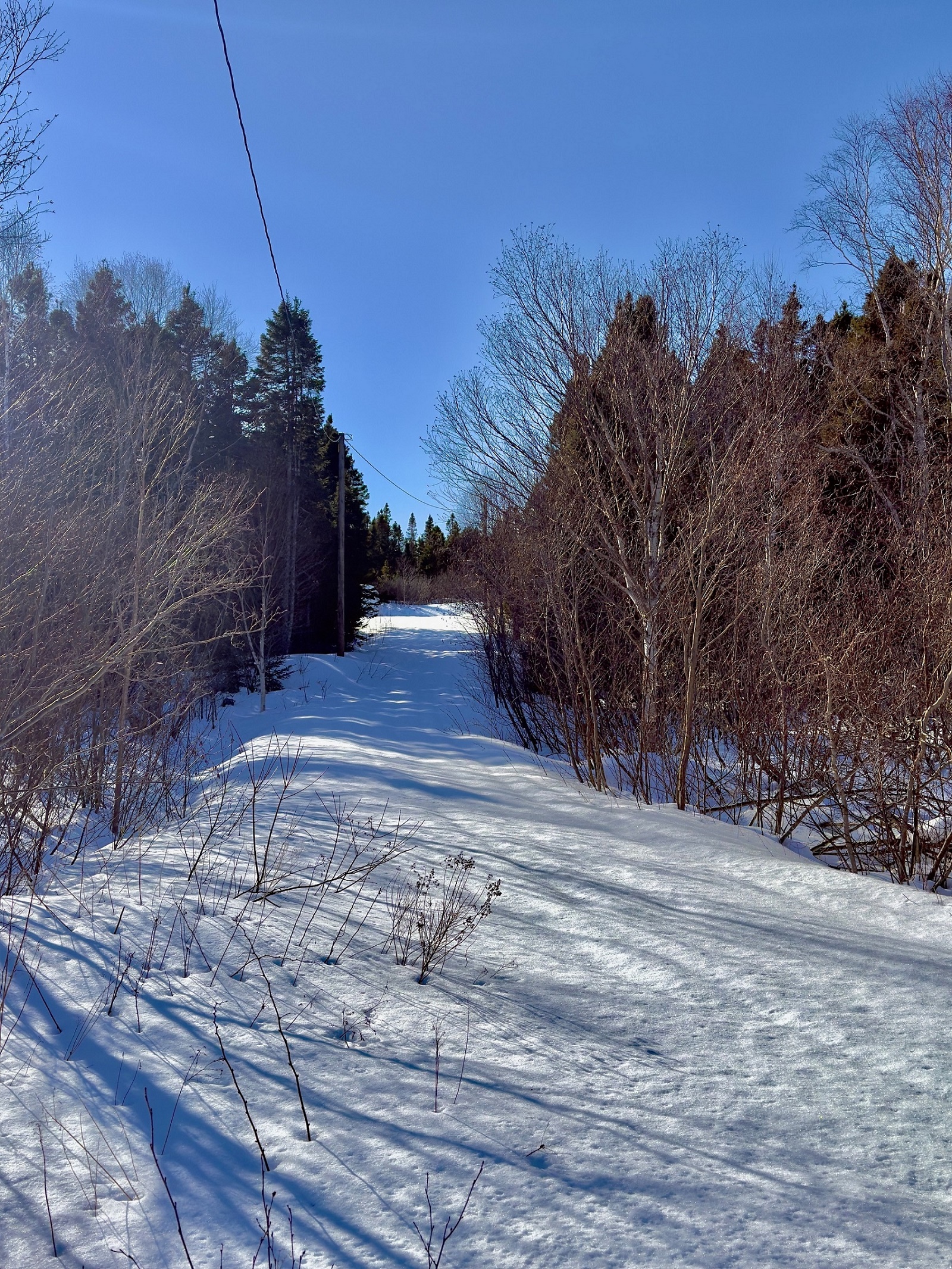 5 THORBURN LAKE ROAD, THORBURN LAKE, Newfoundland, Canada A0C 2G0, ,0,Residential,Sale Pending,THORBURN LAKE ROAD,6109