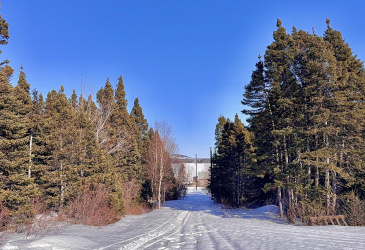 5 THORBURN LAKE ROAD, THORBURN LAKE, Newfoundland, Canada A0C 2G0, ,0,Residential,Sale Pending,THORBURN LAKE ROAD,6109