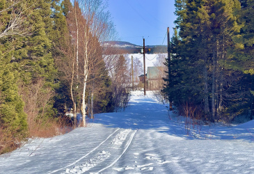 5 THORBURN LAKE ROAD, THORBURN LAKE, Newfoundland, Canada A0C 2G0, ,0,Residential,Sale Pending,THORBURN LAKE ROAD,6109