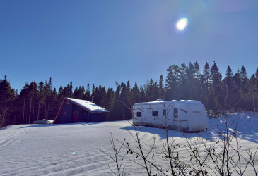 5 THORBURN LAKE ROAD, THORBURN LAKE, Newfoundland, Canada A0C 2G0, ,0,Residential,Sale Pending,THORBURN LAKE ROAD,6109