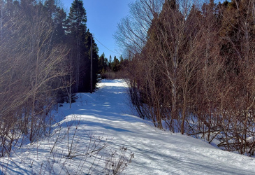 5 THORBURN LAKE ROAD, THORBURN LAKE, Newfoundland, Canada A0C 2G0, ,0,Residential,Sale Pending,THORBURN LAKE ROAD,6109