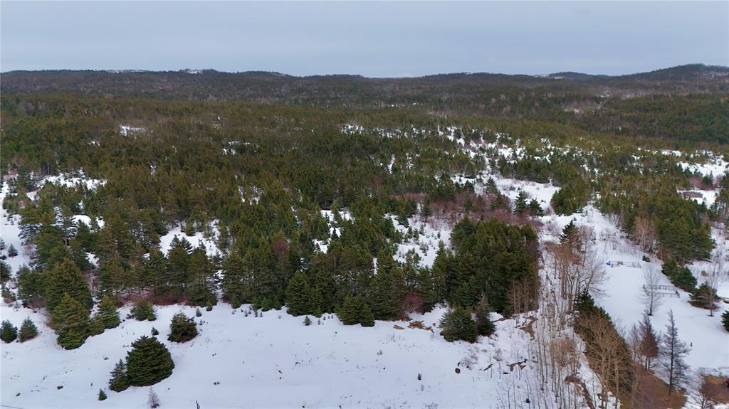 00 MAIN ROAD, SWEET BAY, Newfoundland, Canada A0C 2P0, ,0,Residential,For Sale,MAIN ROAD,6114