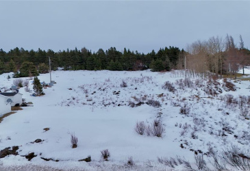 00 MAIN ROAD, SWEET BAY, Newfoundland, Canada A0C 2P0, ,0,Residential,For Sale,MAIN ROAD,6114