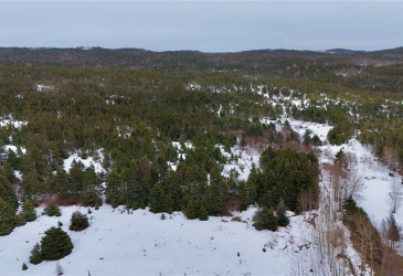 00 MAIN ROAD, SWEET BAY, Newfoundland, Canada A0C 2P0, ,0,Residential,For Sale,MAIN ROAD,6114