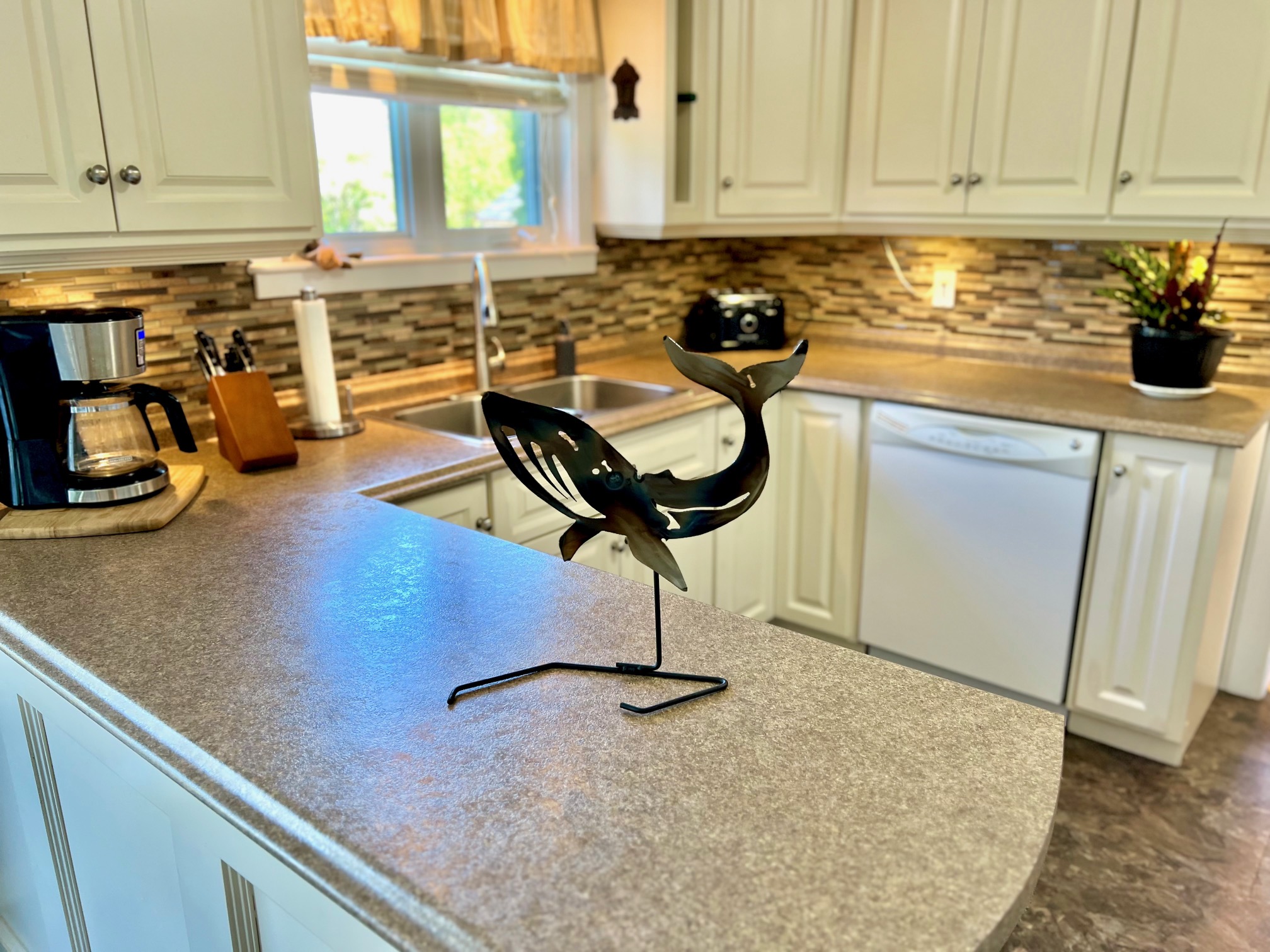 38 GOOBIES ROAD N, GOOBIES NORTH, Newfoundland, Canada A0B 2N0, ,1 BathroomBathrooms,Residential,For Sale,GOOBIES ROAD N,6115