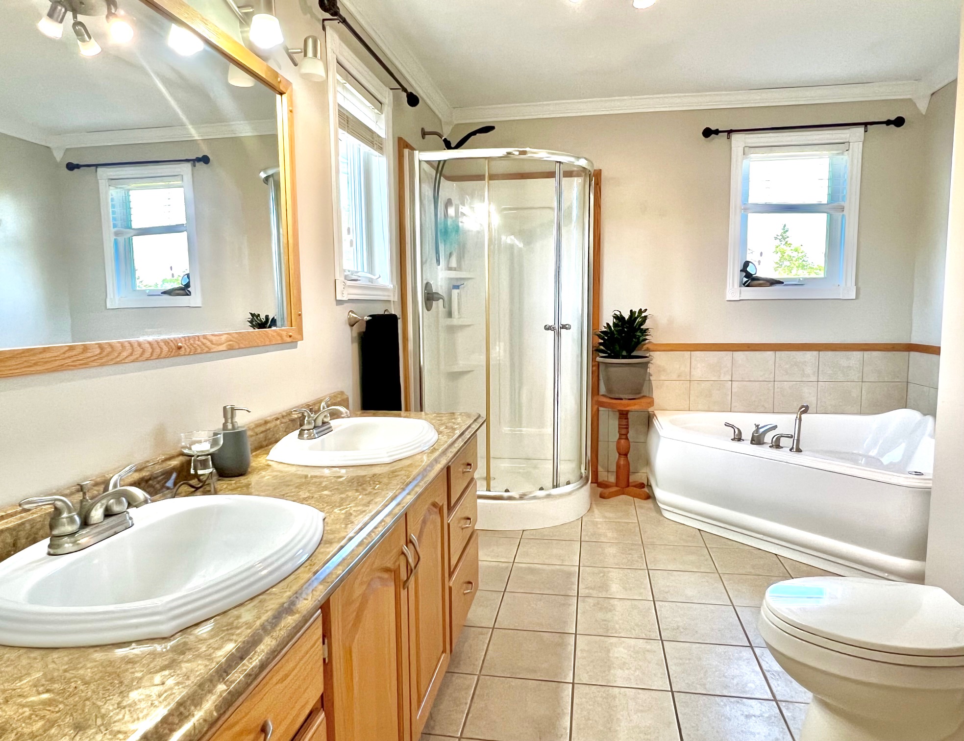 38 GOOBIES ROAD N, GOOBIES NORTH, Newfoundland, Canada A0B 2N0, ,1 BathroomBathrooms,Residential,For Sale,GOOBIES ROAD N,6115