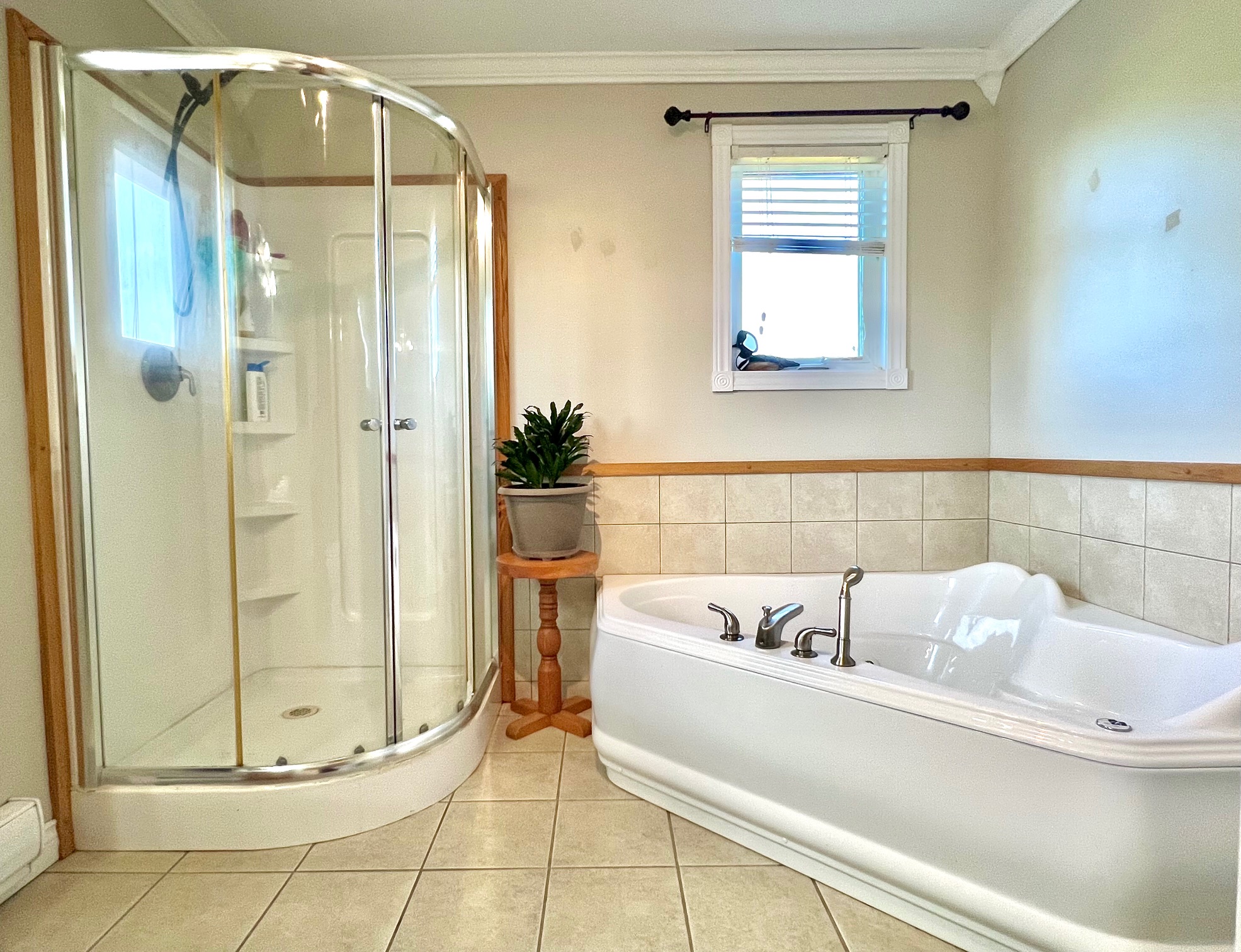 38 GOOBIES ROAD N, GOOBIES NORTH, Newfoundland, Canada A0B 2N0, ,1 BathroomBathrooms,Residential,For Sale,GOOBIES ROAD N,6115