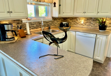 38 GOOBIES ROAD N, GOOBIES NORTH, Newfoundland, Canada A0B 2N0, ,1 BathroomBathrooms,Residential,For Sale,GOOBIES ROAD N,6115