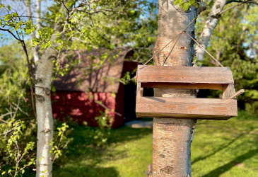 38 GOOBIES ROAD N, GOOBIES NORTH, Newfoundland, Canada A0B 2N0, ,1 BathroomBathrooms,Residential,For Sale,GOOBIES ROAD N,6115