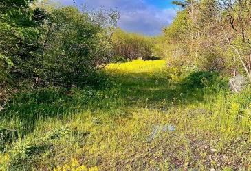 38 GOOBIES ROAD N, GOOBIES NORTH, Newfoundland, Canada A0B 2N0, ,1 BathroomBathrooms,Residential,For Sale,GOOBIES ROAD N,6115