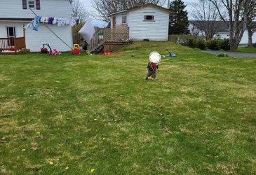 9-11 SMITH STREET, BAY ROBERTS, Newfoundland, Canada A0A 1G0, ,1 BathroomBathrooms,Residential,For Sale,SMITH STREET,6116