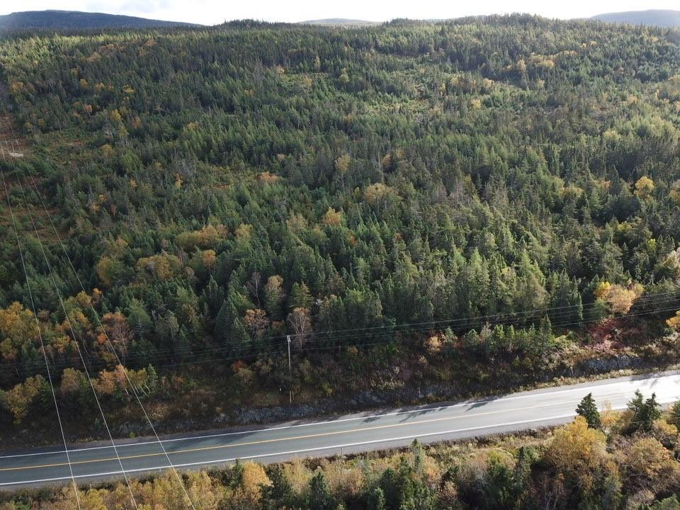 15-25 LIAM HICKEY DRIVE, HOLYROOD, Newfoundland, Canada A0A 2R0, ,0,Commercial,For Sale,LIAM HICKEY DRIVE,6120