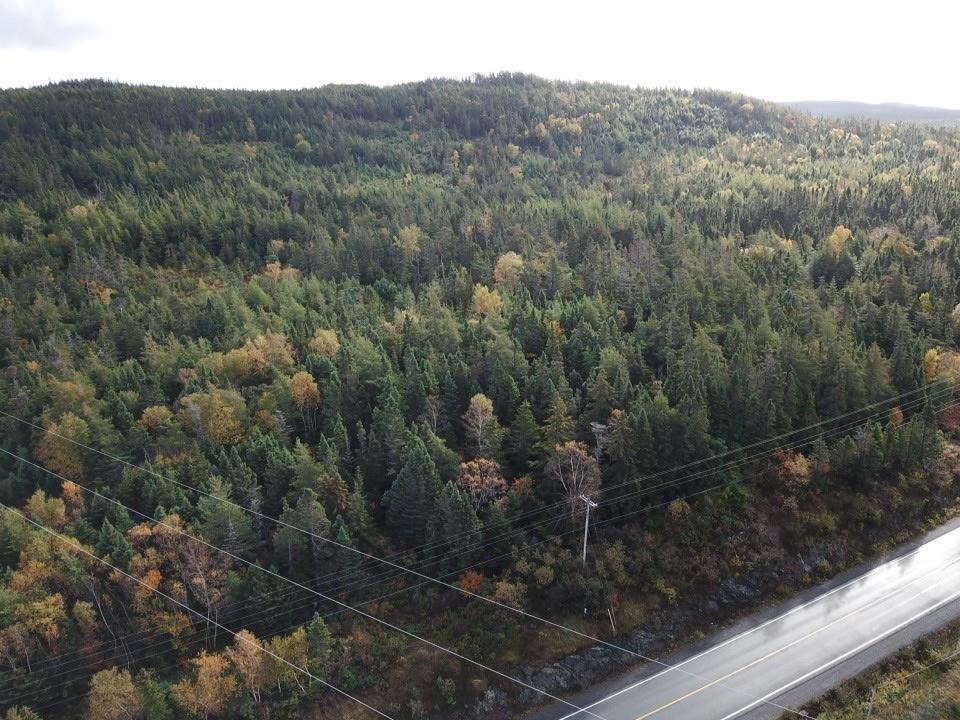 15-25 LIAM HICKEY DRIVE, HOLYROOD, Newfoundland, Canada A0A 2R0, ,0,Commercial,For Sale,LIAM HICKEY DRIVE,6120