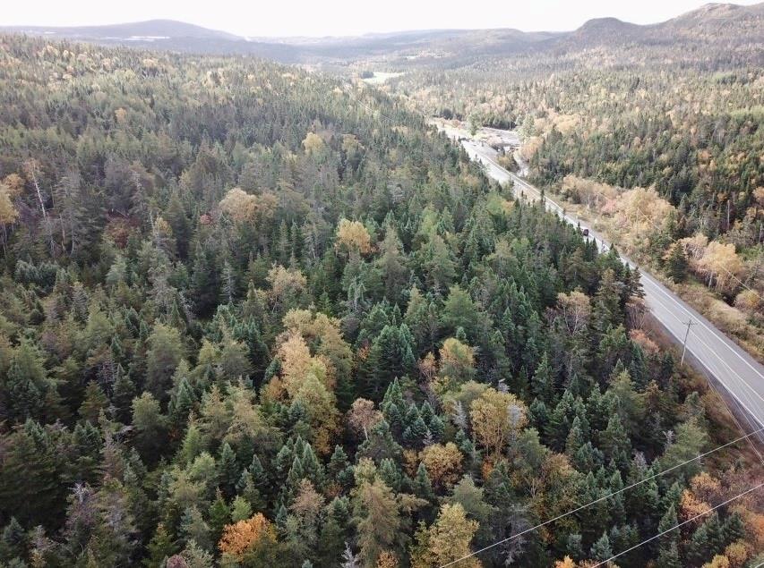 15-25 LIAM HICKEY DRIVE, HOLYROOD, Newfoundland, Canada A0A 2R0, ,0,Commercial,For Sale,LIAM HICKEY DRIVE,6120