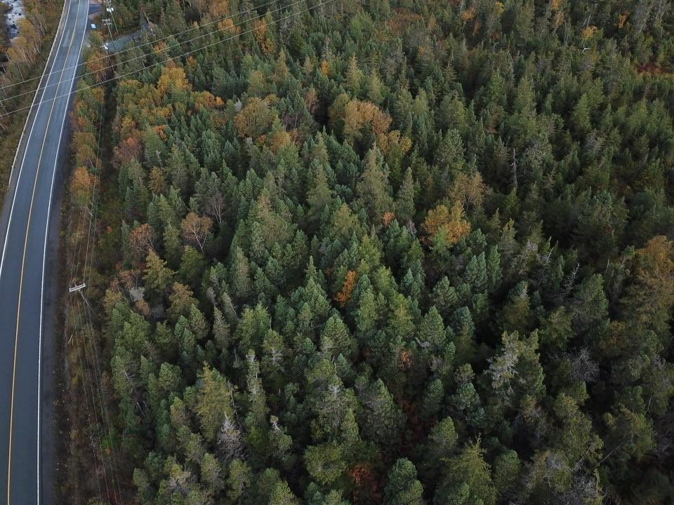 15-25 LIAM HICKEY DRIVE, HOLYROOD, Newfoundland, Canada A0A 2R0, ,0,Commercial,For Sale,LIAM HICKEY DRIVE,6120