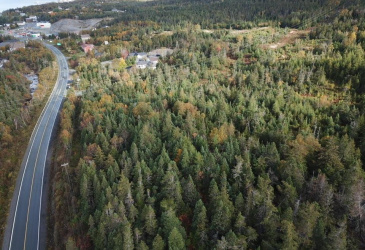 15-25 LIAM HICKEY DRIVE, HOLYROOD, Newfoundland, Canada A0A 2R0, ,0,Commercial,For Sale,LIAM HICKEY DRIVE,6120