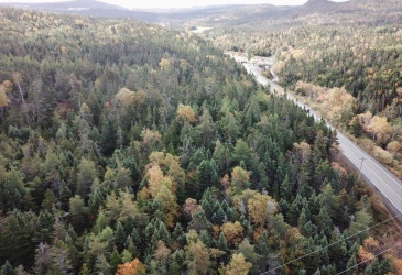 15-25 LIAM HICKEY DRIVE, HOLYROOD, Newfoundland, Canada A0A 2R0, ,0,Commercial,For Sale,LIAM HICKEY DRIVE,6120