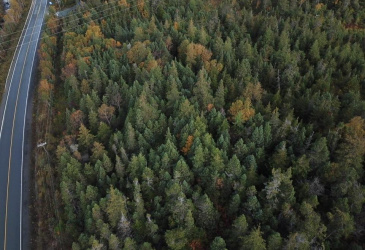 15-25 LIAM HICKEY DRIVE, HOLYROOD, Newfoundland, Canada A0A 2R0, ,0,Commercial,For Sale,LIAM HICKEY DRIVE,6120