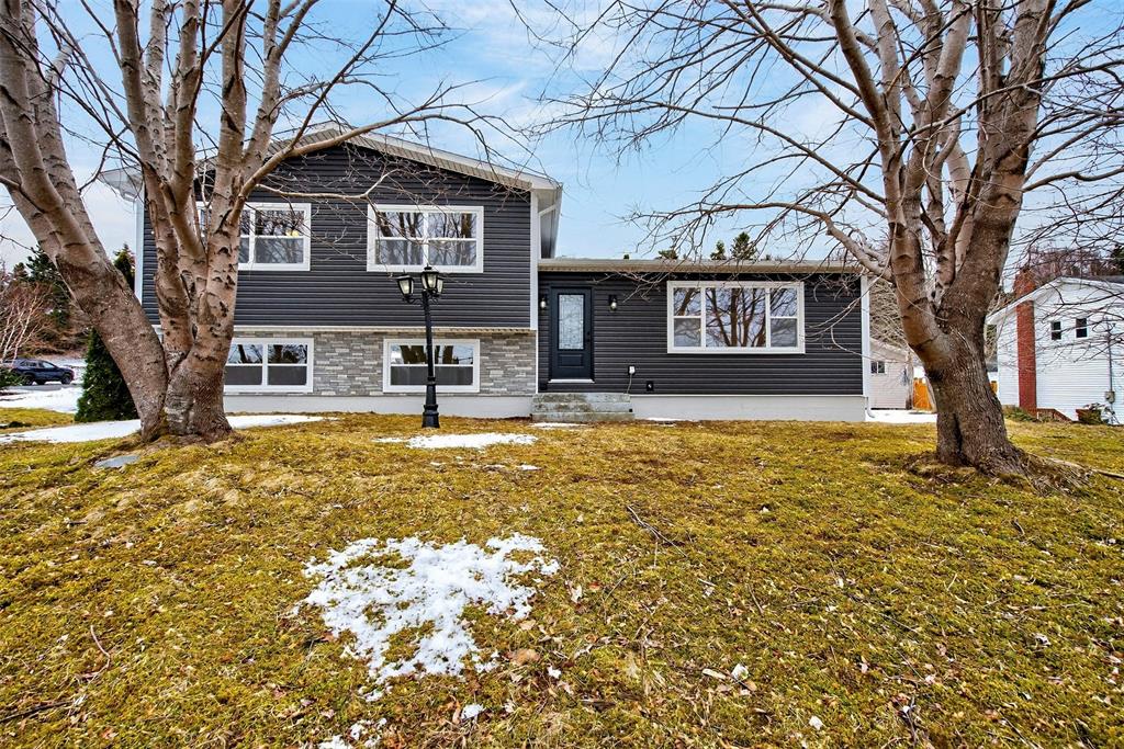 14-16 FARM ROAD, BAY ROBERTS, Newfoundland, Canada A0A 1G0, ,2 BathroomsBathrooms,Residential,For Sale,FARM ROAD,6122