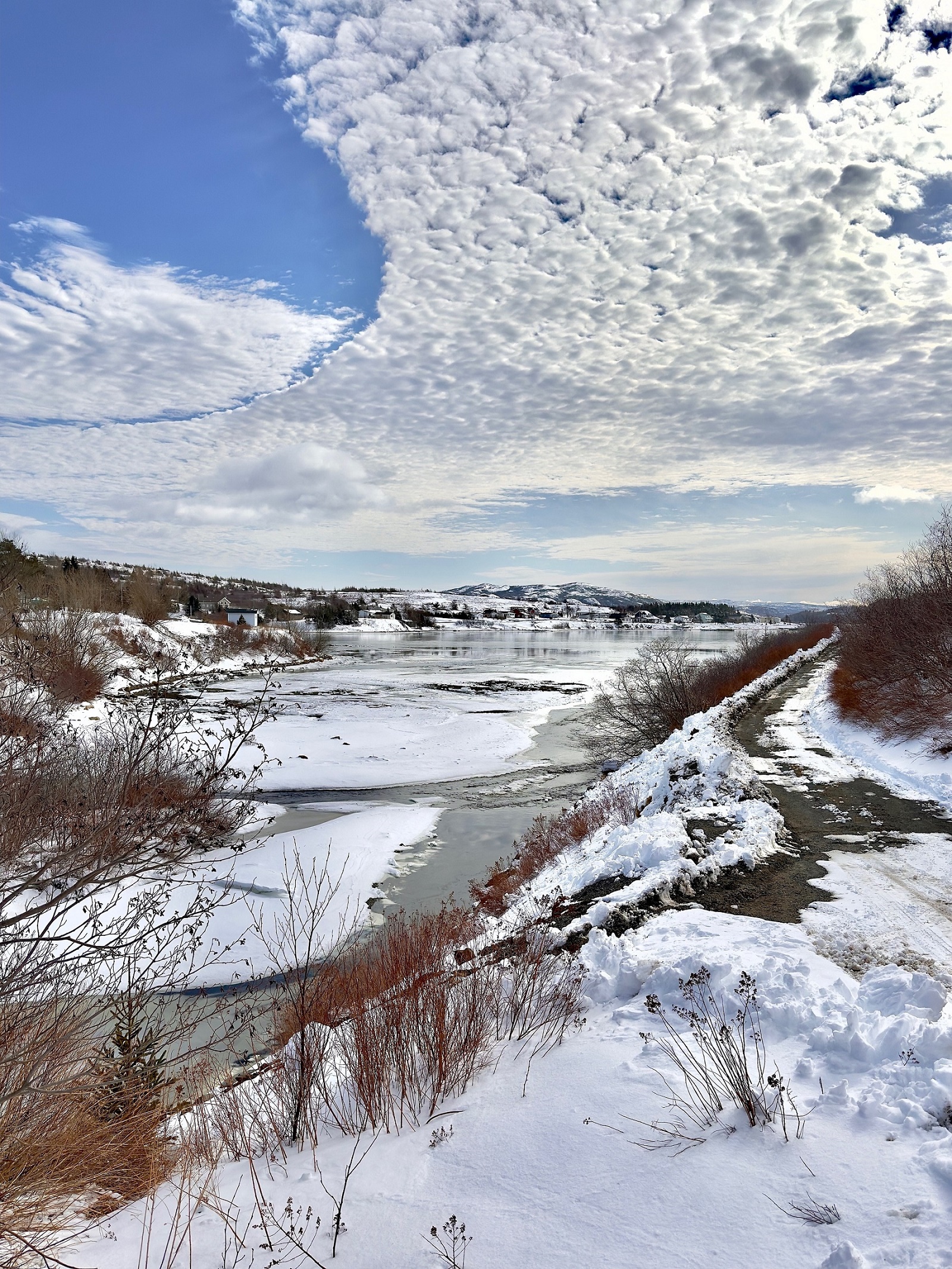 120 MAIN ROAD, SUNNYSIDE, Newfoundland, Canada A0B 3J0, ,1 BathroomBathrooms,Residential,For Sale,MAIN ROAD,6127