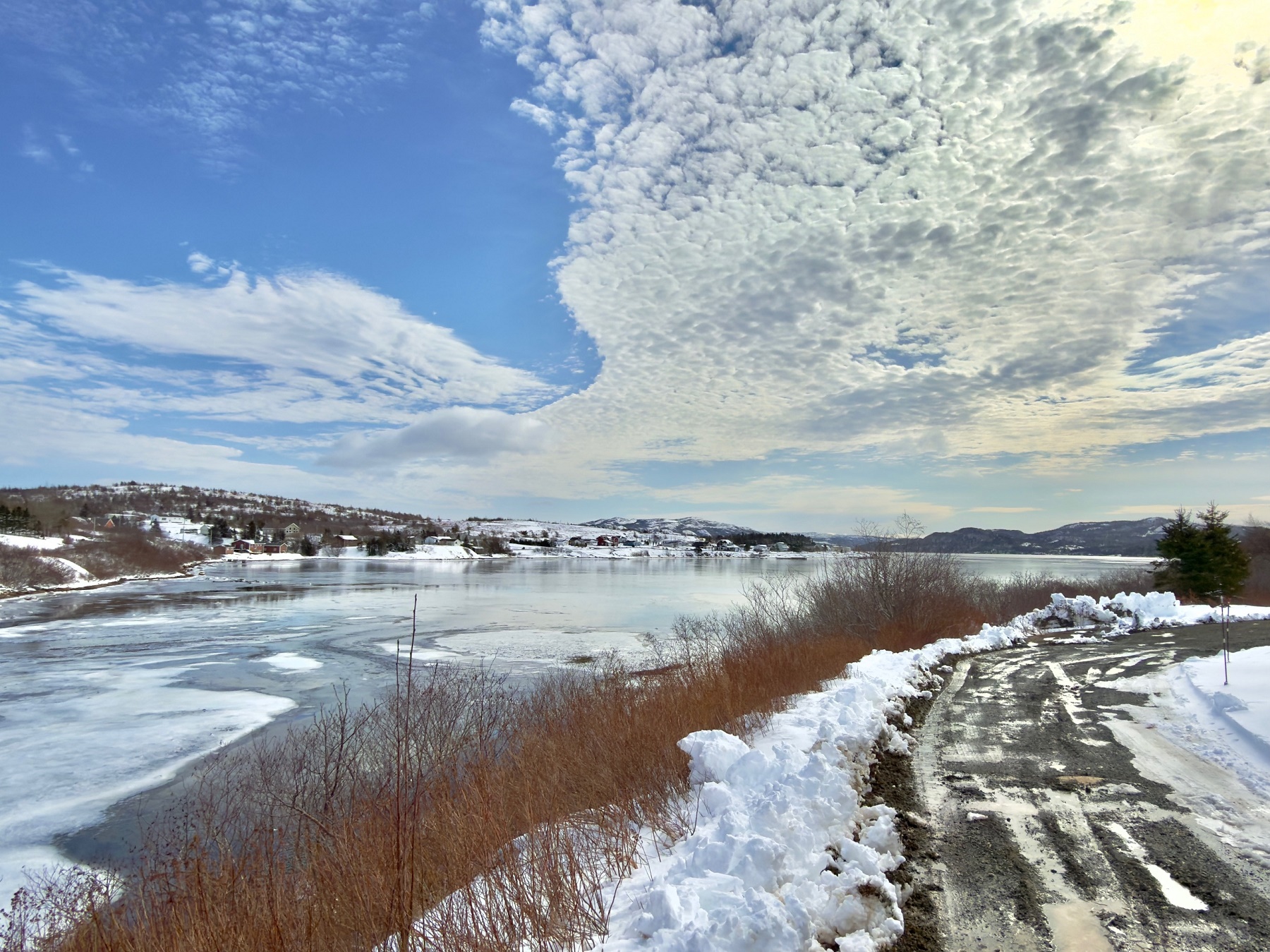 120 MAIN ROAD, SUNNYSIDE, Newfoundland, Canada A0B 3J0, ,1 BathroomBathrooms,Residential,For Sale,MAIN ROAD,6127