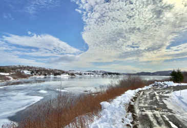 120 MAIN ROAD, SUNNYSIDE, Newfoundland, Canada A0B 3J0, ,1 BathroomBathrooms,Residential,For Sale,MAIN ROAD,6127