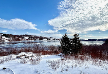 120 MAIN ROAD, SUNNYSIDE, Newfoundland, Canada A0B 3J0, ,1 BathroomBathrooms,Residential,For Sale,MAIN ROAD,6127