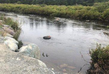 388 SHEARSTOWN ROAD, BAY ROBERTS, Newfoundland, Canada A0A 3V0, ,1 BathroomBathrooms,Residential,For Sale,SHEARSTOWN ROAD,6134