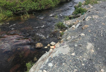 388 SHEARSTOWN ROAD, BAY ROBERTS, Newfoundland, Canada A0A 3V0, ,1 BathroomBathrooms,Residential,For Sale,SHEARSTOWN ROAD,6134