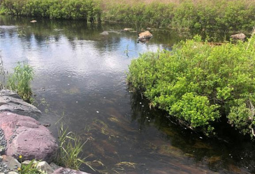 388 SHEARSTOWN ROAD, BAY ROBERTS, Newfoundland, Canada A0A 3V0, ,1 BathroomBathrooms,Residential,For Sale,SHEARSTOWN ROAD,6134