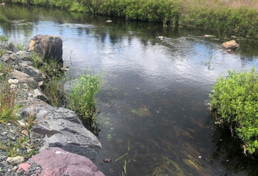 388 SHEARSTOWN ROAD, BAY ROBERTS, Newfoundland, Canada A0A 3V0, ,1 BathroomBathrooms,Residential,For Sale,SHEARSTOWN ROAD,6134