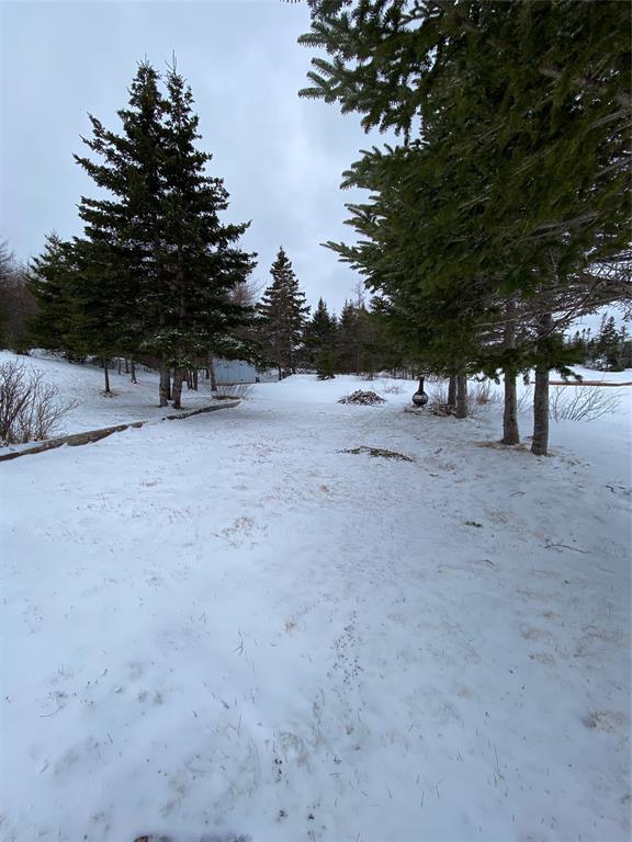 5 GULL POND, NEW HARBOUR, Newfoundland, Canada A0G 1G0, ,1 BathroomBathrooms,Residential,For Sale,GULL POND,6140