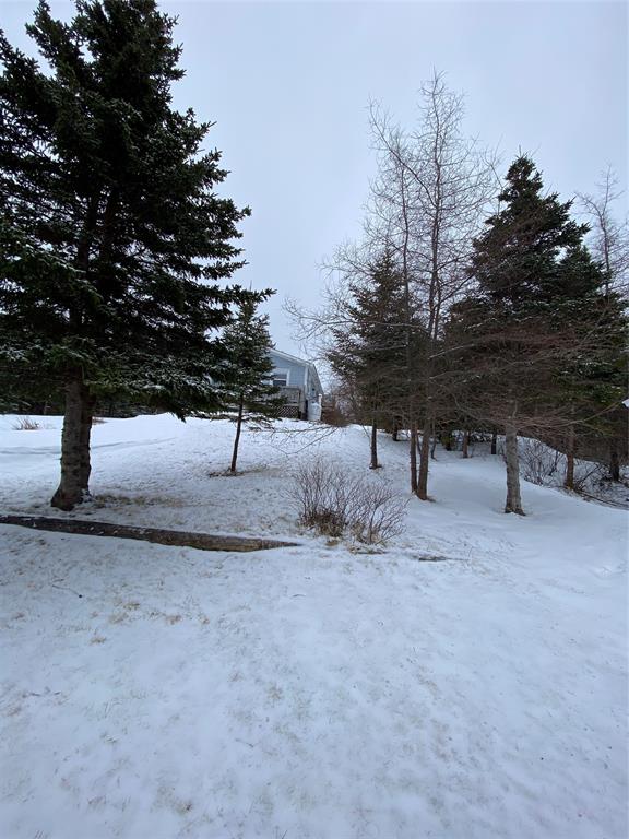 5 GULL POND, NEW HARBOUR, Newfoundland, Canada A0G 1G0, ,1 BathroomBathrooms,Residential,For Sale,GULL POND,6140