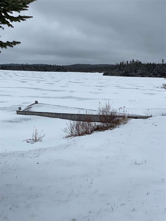 5 GULL POND, NEW HARBOUR, Newfoundland, Canada A0G 1G0, ,1 BathroomBathrooms,Residential,For Sale,GULL POND,6140