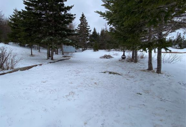5 GULL POND, NEW HARBOUR, Newfoundland, Canada A0G 1G0, ,1 BathroomBathrooms,Residential,For Sale,GULL POND,6140