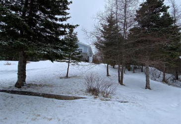 5 GULL POND, NEW HARBOUR, Newfoundland, Canada A0G 1G0, ,1 BathroomBathrooms,Residential,For Sale,GULL POND,6140
