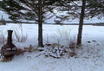 5 GULL POND, NEW HARBOUR, Newfoundland, Canada A0G 1G0, ,1 BathroomBathrooms,Residential,For Sale,GULL POND,6140