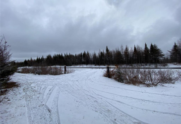 5 GULL POND, NEW HARBOUR, Newfoundland, Canada A0G 1G0, ,1 BathroomBathrooms,Residential,For Sale,GULL POND,6140