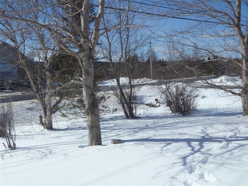 23 HIGHWAY EAST, VICTORIA, Newfoundland, Canada A0A 4G0, ,1 BathroomBathrooms,Residential,For Sale,HIGHWAY EAST,6141