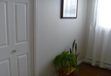 5 KINGSWELL LANE, HARBOUR GRACE, Newfoundland, Canada A0A 2M0, ,1 BathroomBathrooms,Residential,For Sale,KINGSWELL LANE,6143