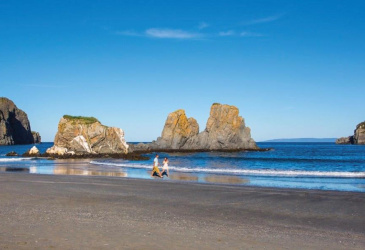 352 MAIN HIGHWAY, SALMON COVE, Newfoundland, Canada A0A 3S0, ,2 BathroomsBathrooms,Residential,For Sale,MAIN HIGHWAY,6145