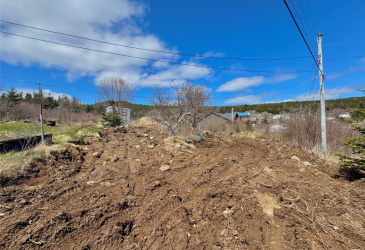 0 IVANY'S COVE ROAD, IVANY'S COVE, Newfoundland, Canada A0E 2P0, ,0,Residential,For Sale,IVANY'S COVE ROAD,6153