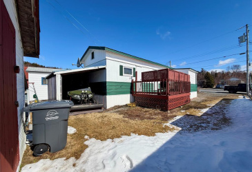 14 FAIRVIEW COURT, CLARENVILLE, Newfoundland, Canada A5A 4G5, ,1 BathroomBathrooms,Residential,For Sale,FAIRVIEW COURT,6156