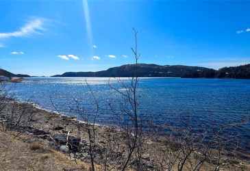 98 MAIN ROAD, BROOKSIDE, Newfoundland, Canada A0E 1C0, ,1 BathroomBathrooms,Residential,For Sale,MAIN ROAD,6157