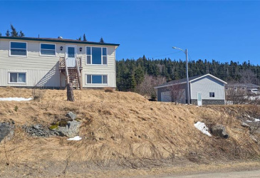 98 MAIN ROAD, BROOKSIDE, Newfoundland, Canada A0E 1C0, ,1 BathroomBathrooms,Residential,For Sale,MAIN ROAD,6157