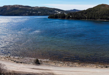 98 MAIN ROAD, BROOKSIDE, Newfoundland, Canada A0E 1C0, ,1 BathroomBathrooms,Residential,For Sale,MAIN ROAD,6157