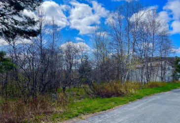 15 BARNES ROAD, CLARENVILLE, Newfoundland, Canada A5A 4C5, ,0,Land,Sale Pending,BARNES ROAD,6158